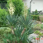 Am Maerchenturm Blankenburg (Harz)