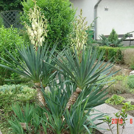 Am Maerchenturm Blankenburg (Harz)