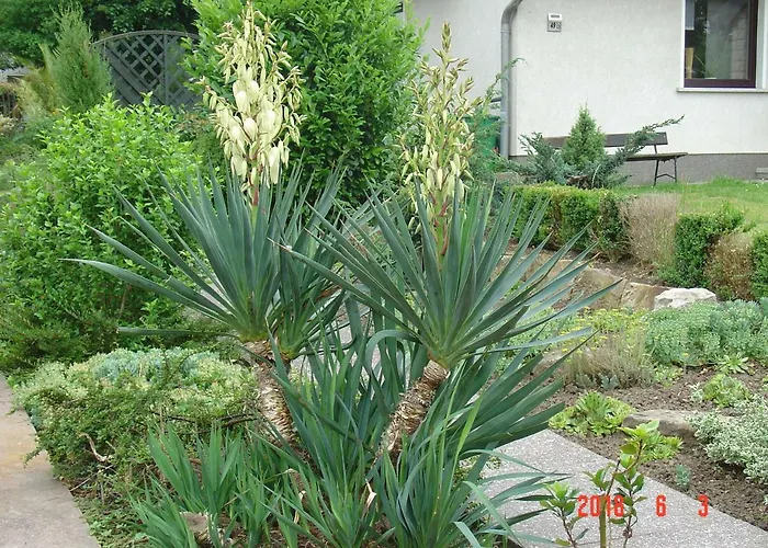 Am Maerchenturm 布兰肯堡